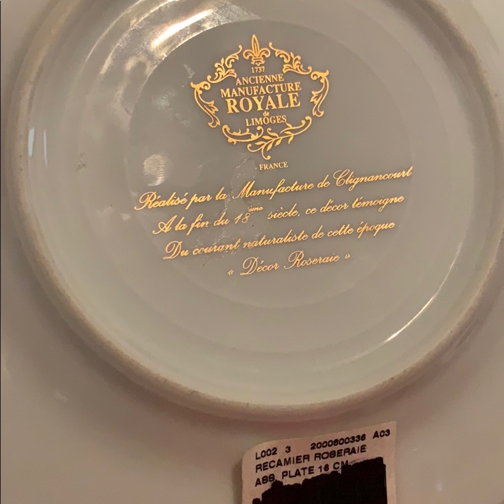 Bernardaud Royal Limoges Roseraie Assorted Plate - Picture 7 of 10